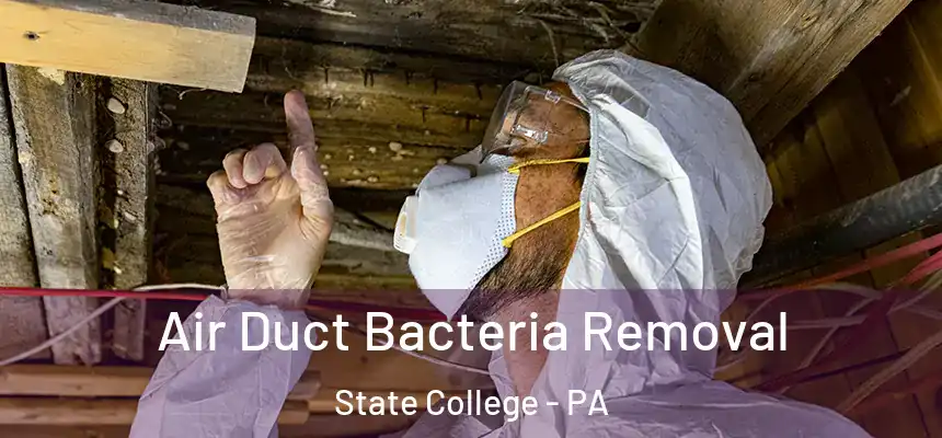  Air Duct Bacteria Removal State College - PA