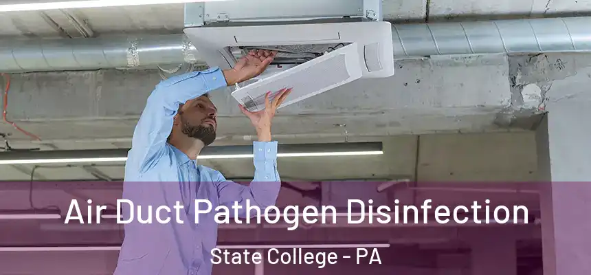  Air Duct Pathogen Disinfection State College - PA