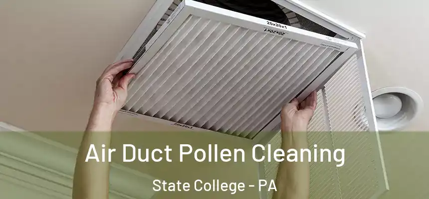  Air Duct Pollen Cleaning State College - PA