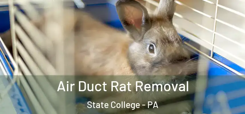  Air Duct Rat Removal State College - PA