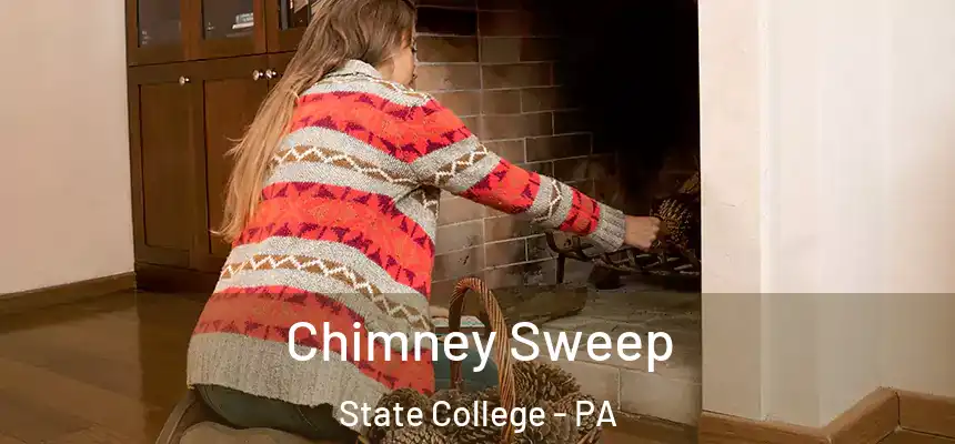  Chimney Sweep State College - PA