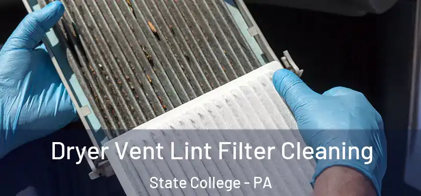  Dryer Vent Lint Filter Cleaning State College - PA