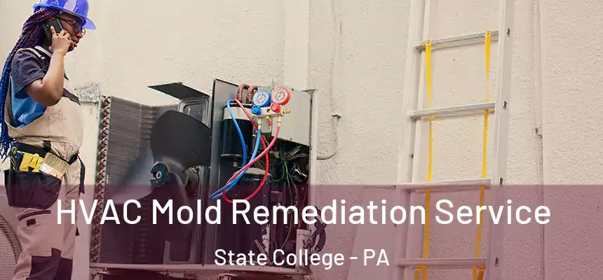  HVAC Mold Remediation Service State College - PA