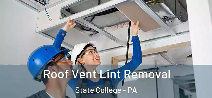  Roof Vent Lint Removal State College - PA