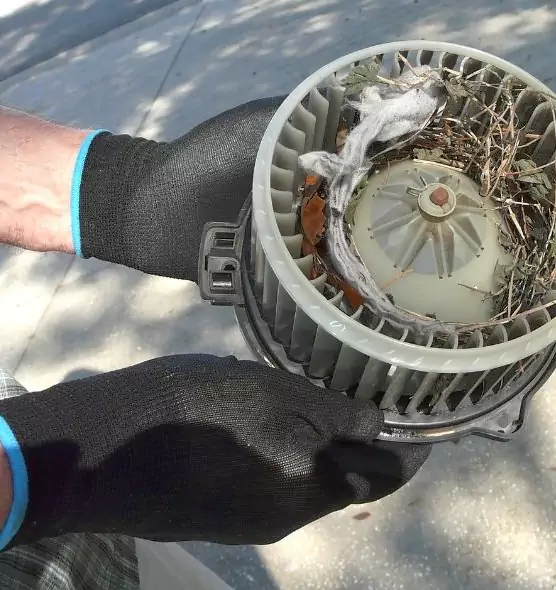 About Air Duct Rat Removal in State College, PA