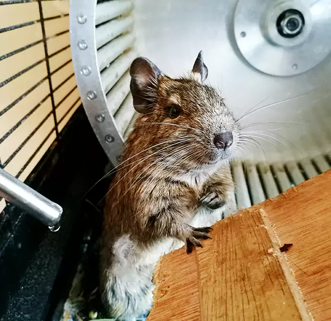 Why Homeowners & Businesses Trust Us State College, PA